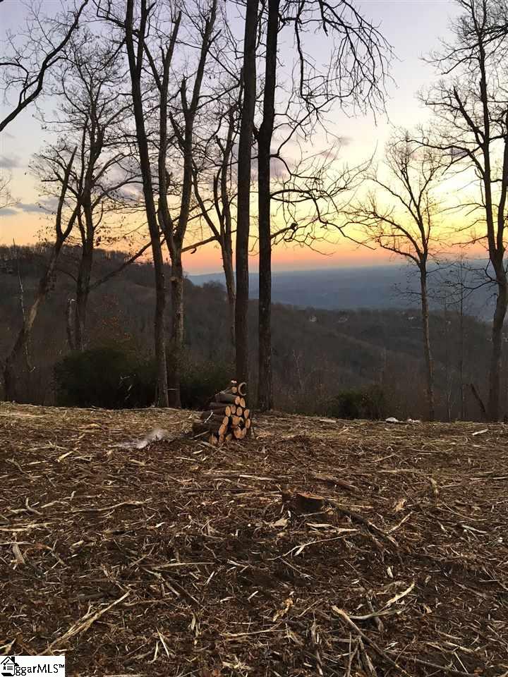1399 Mountain Summit Road Travelers Rest, SC 29690 - Photo 4 of 7