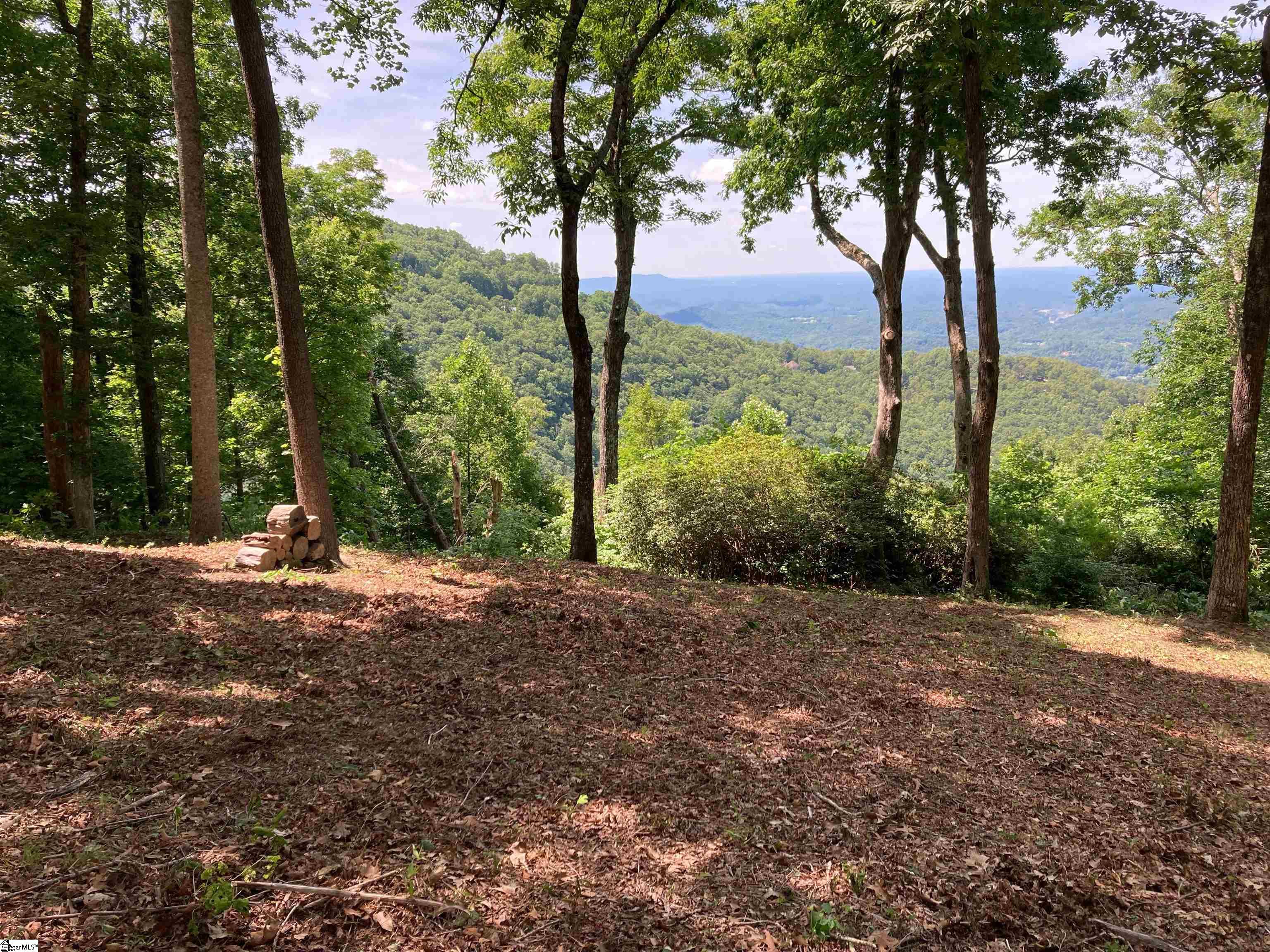 1399 Mountain Summit Road Travelers Rest, SC 29690 - Photo 5 of 7