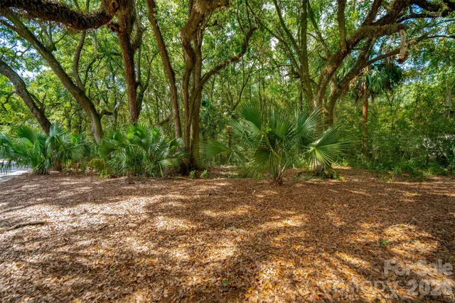 a view of a yard with a tree