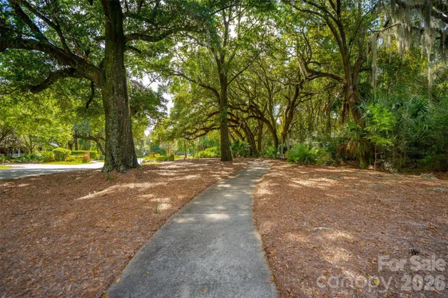 a view of outdoor space and yard