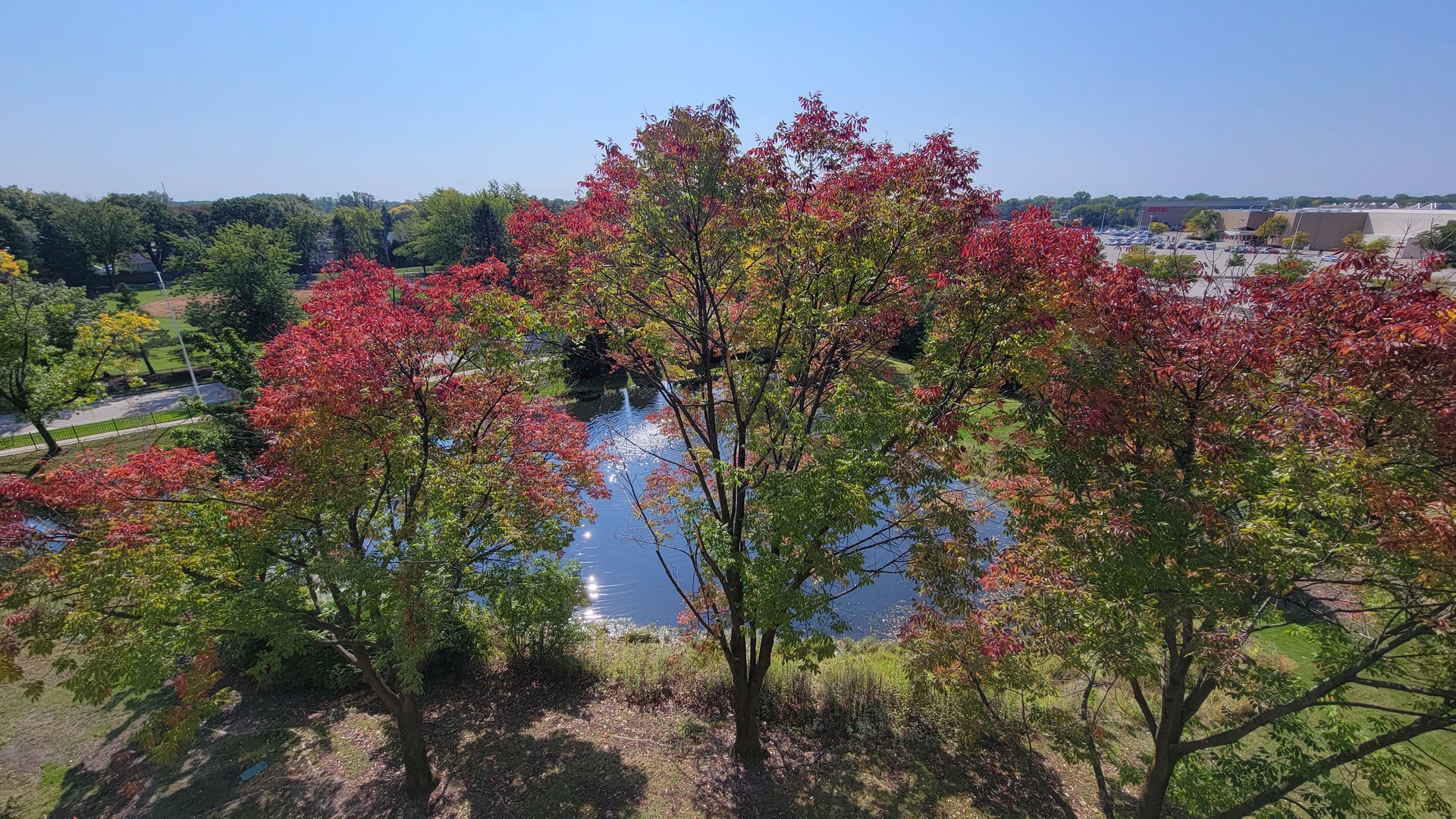 1280 Rudolph Drive, Unit 5E Northbrook, IL 60062 - Photo 21 of 33 a view of a flower