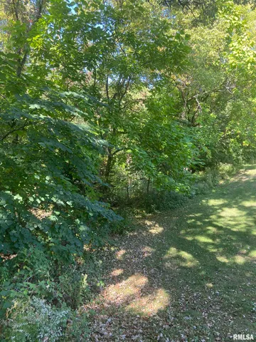 $110,000 | 700 North Bluff Boulevard, Clinton, IA 52732