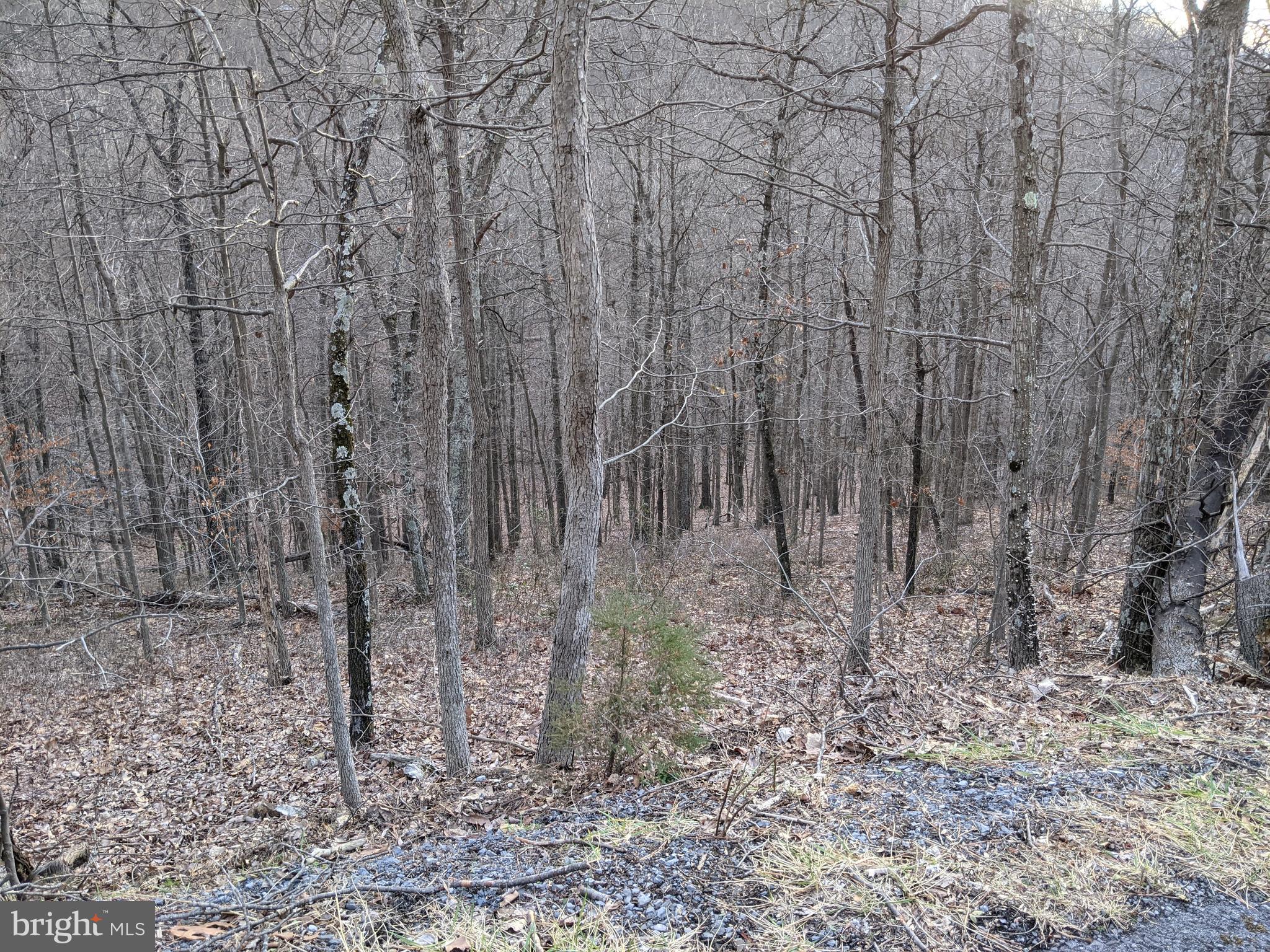 Baldwin Road Front Royal, VA 22630 - Photo 2 of 5