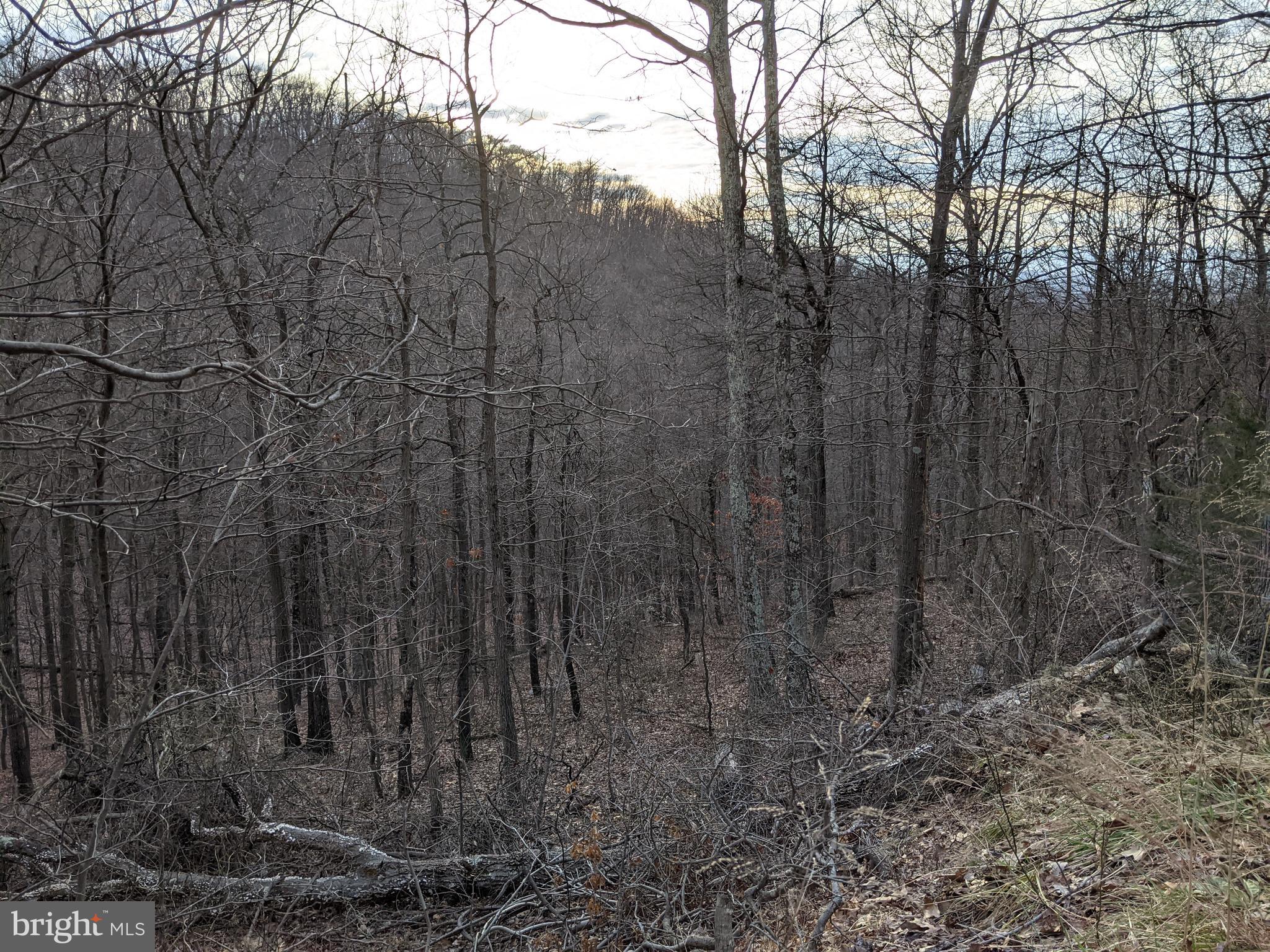 Baldwin Road Front Royal, VA 22630 - Photo 3 of 5