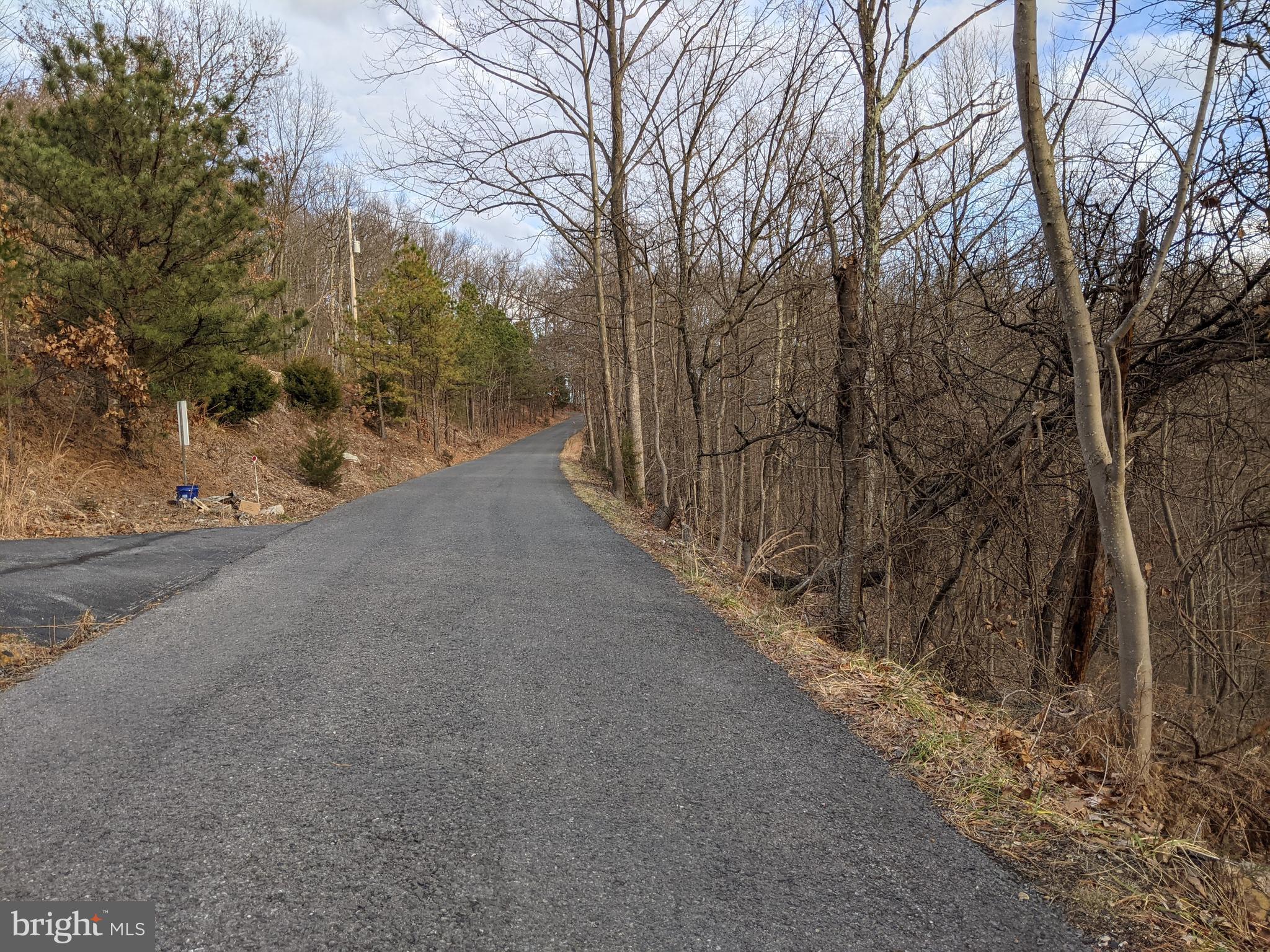 Baldwin Road Front Royal, VA 22630 - Photo 4 of 5