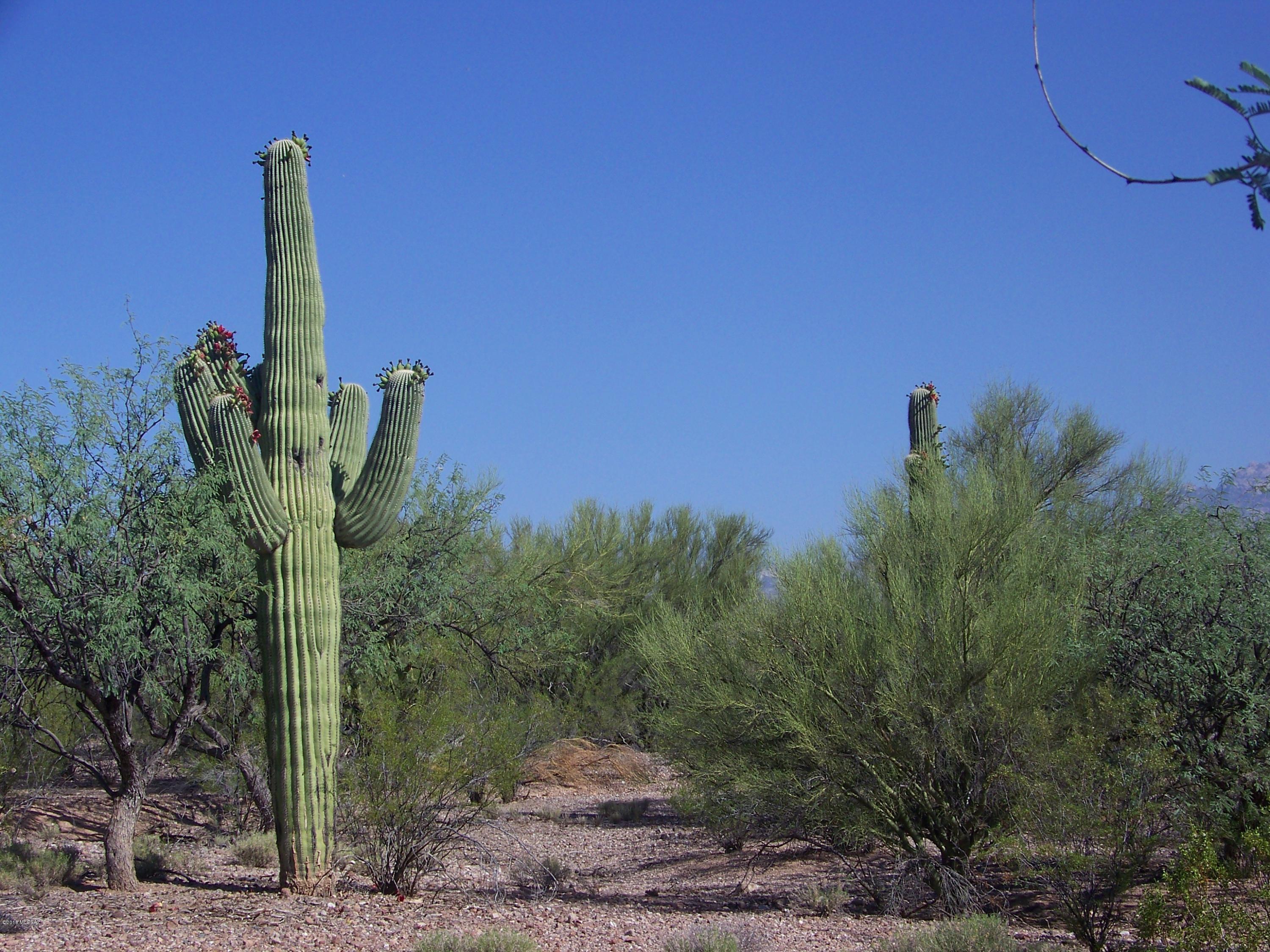Tbd East Kleindale Road Tucson, AZ 85749 - Photo 22 of 45 Gallery Image 22
