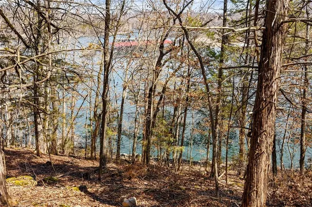 $989,900 | 485 Cedarledge Road, Lampe, MO 65681