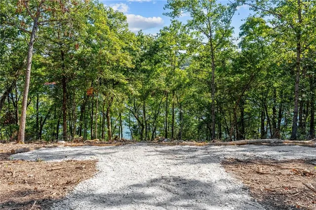 $989,900 | 485 Cedarledge Road, Lampe, MO 65681