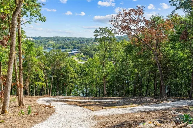 $989,900 | 485 Cedarledge Road, Lampe, MO 65681