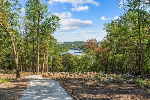 $989,900 | 485 Cedarledge Road, Lampe, MO 65681