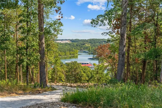 $989,900 | 485 Cedarledge Road, Lampe, MO 65681