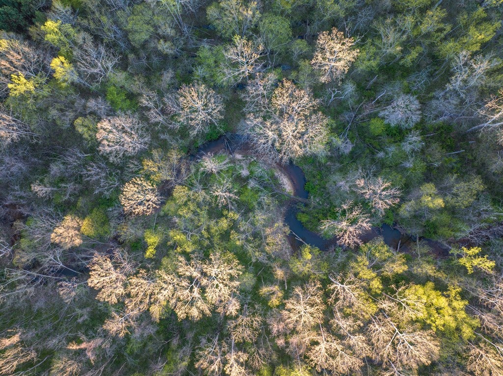 Miller Lake Rd Green Green Bay, VA 23942 - Photo 7 of 9 Gallery Image 7