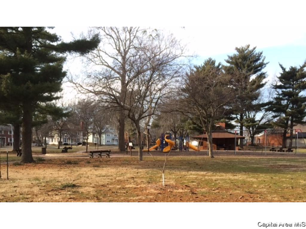 1033 North 8th Street Springfield, IL 62702 - Photo 33 of 34