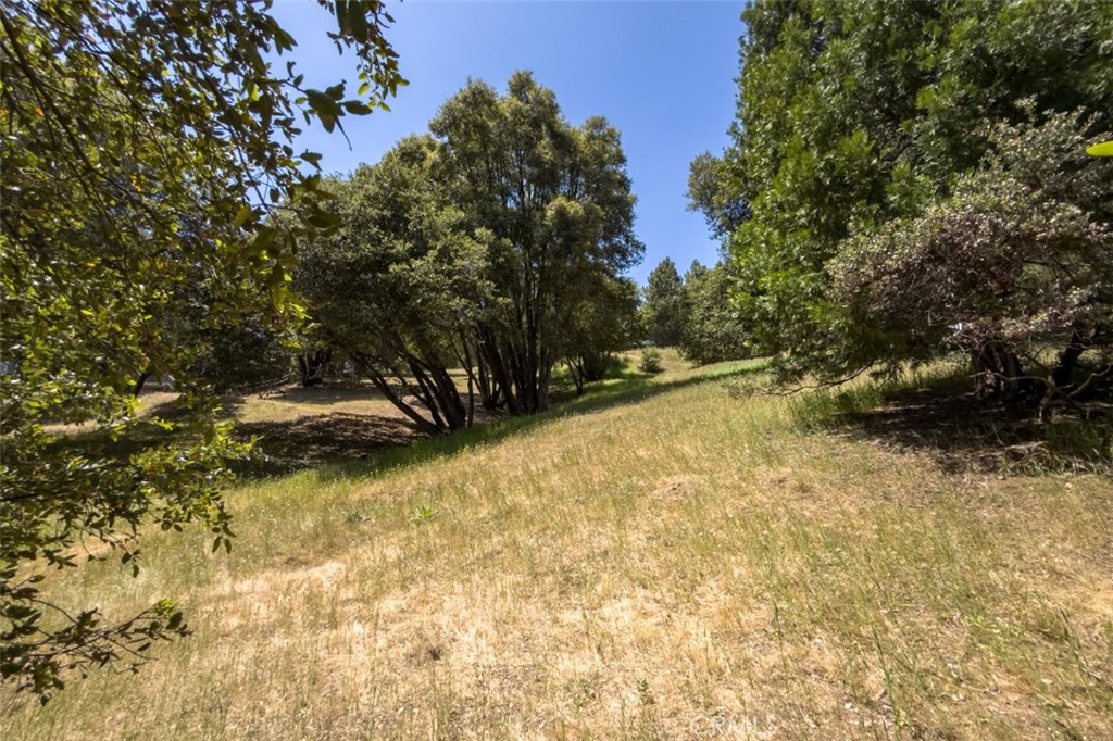 2397 Parmabelle Road Mariposa, CA 95338 - Photo 16 of 34 a view of outdoor space and yard