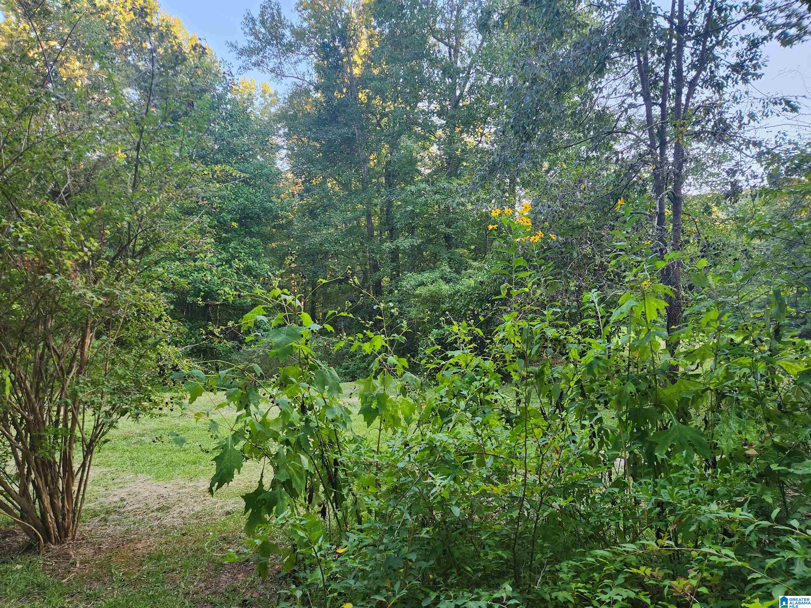14843 Gallant Road Gallant, AL 35972 - Photo 47 of 100
