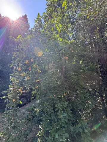 $275,000 | 45583 Poso Park Drive, Posey, CA 93260