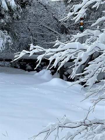 $275,000 | 45583 Poso Park Drive, Posey, CA 93260