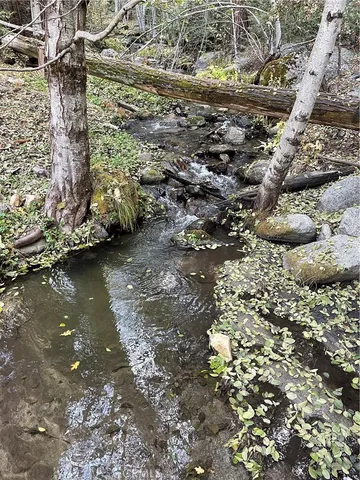 $275,000 | 45583 Poso Park Drive, Posey, CA 93260