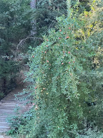 $275,000 | 45583 Poso Park Drive, Posey, CA 93260