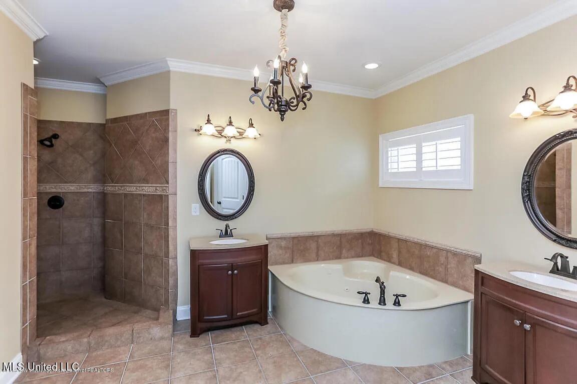 9077 Rue Orleans Lane Olive Branch, MS 38654 - Photo 9 of 18 primary bathroom