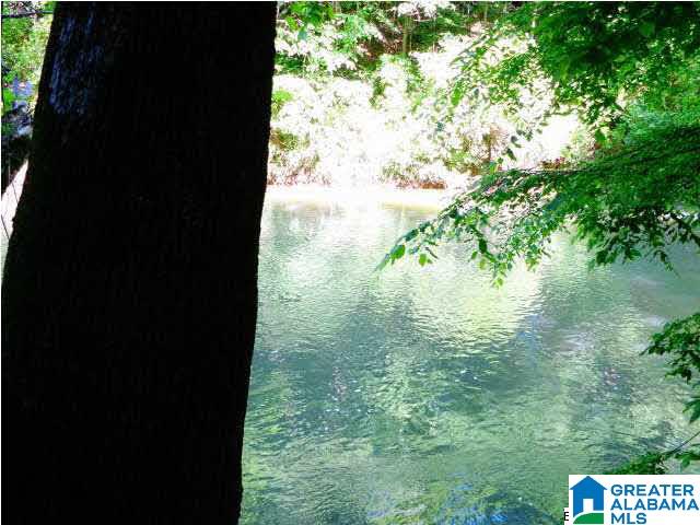 0 Riverview Drive, Unit 116 Cleveland, AL 35049 - Photo 3 of 30