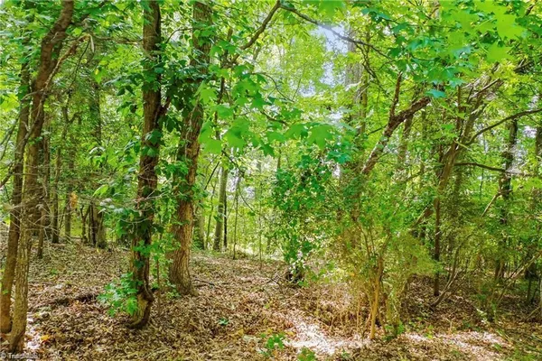 $130,000 | 4446 Marion Drive, Terrell, NC 28682