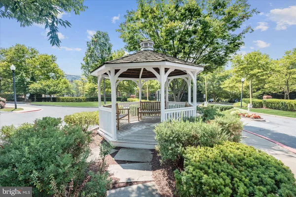a view of a garden with plants and trees
