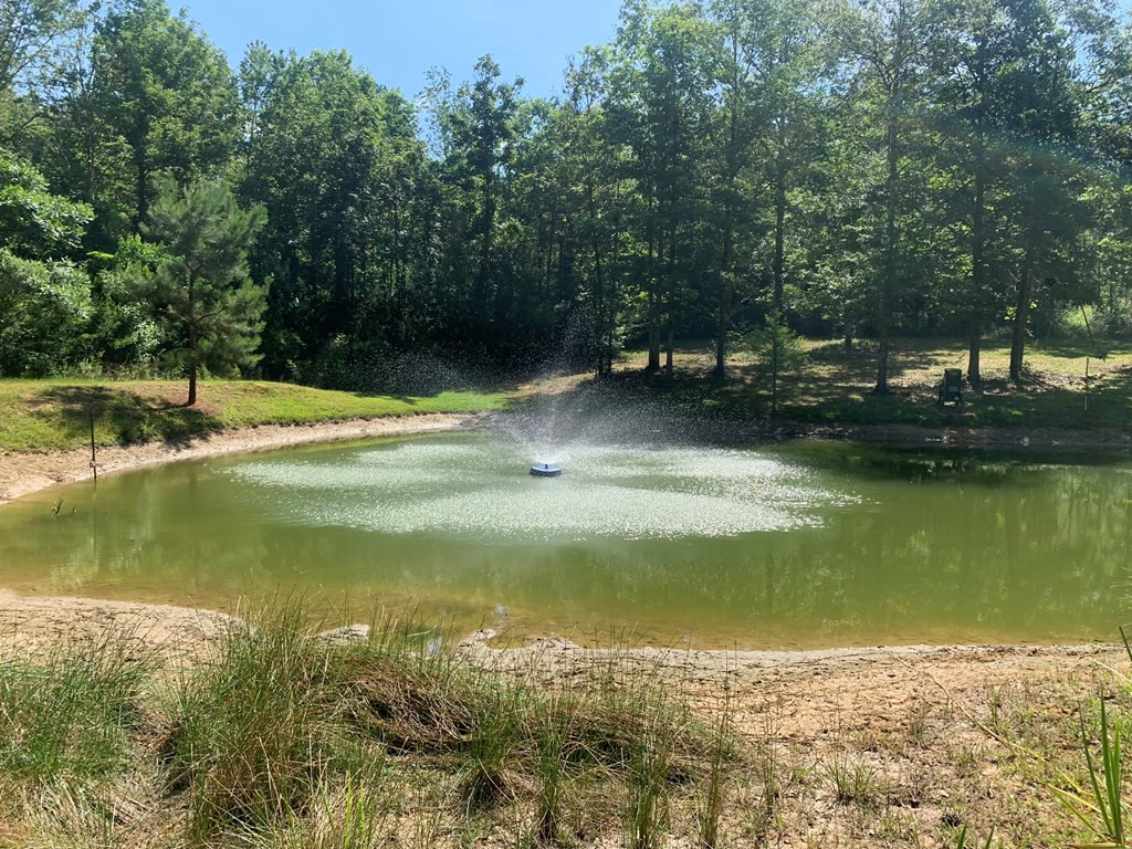 985 Harold Alford Road Osyka, MS 39657 - Photo 37 of 50 Photo 37
