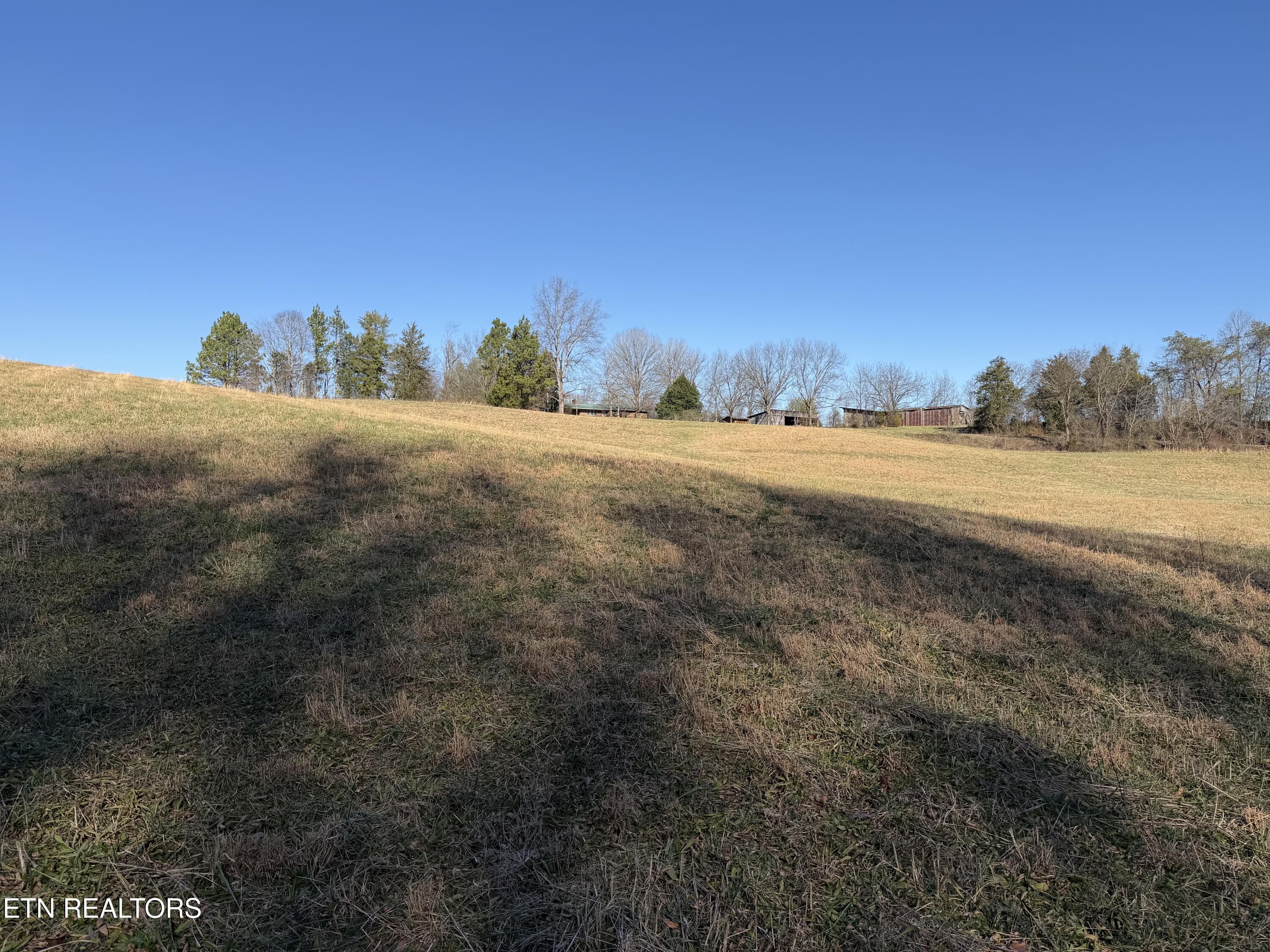 0 Dupont Road Seymour, TN 37865 - Photo 11 of 19 IMG_2176