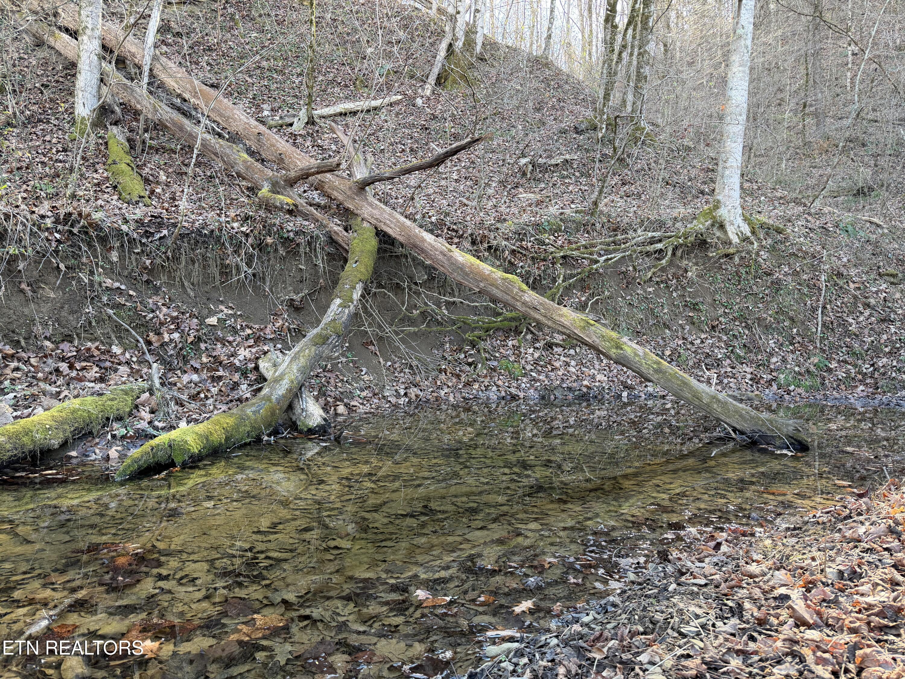 0 Dupont Road Seymour, TN 37865 - Photo 14 of 19 IMG_2179