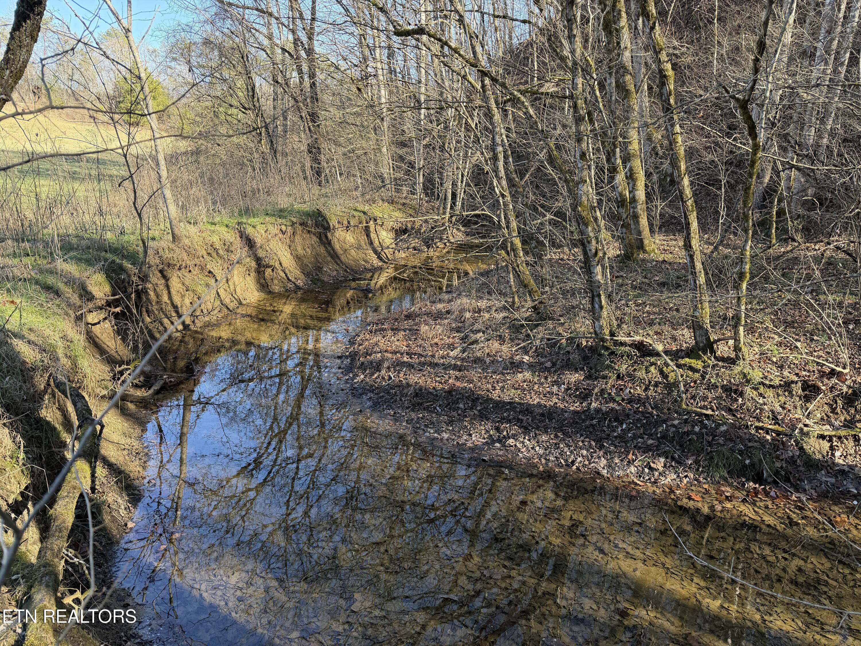 0 Dupont Road Seymour, TN 37865 - Photo 15 of 19 IMG_2180
