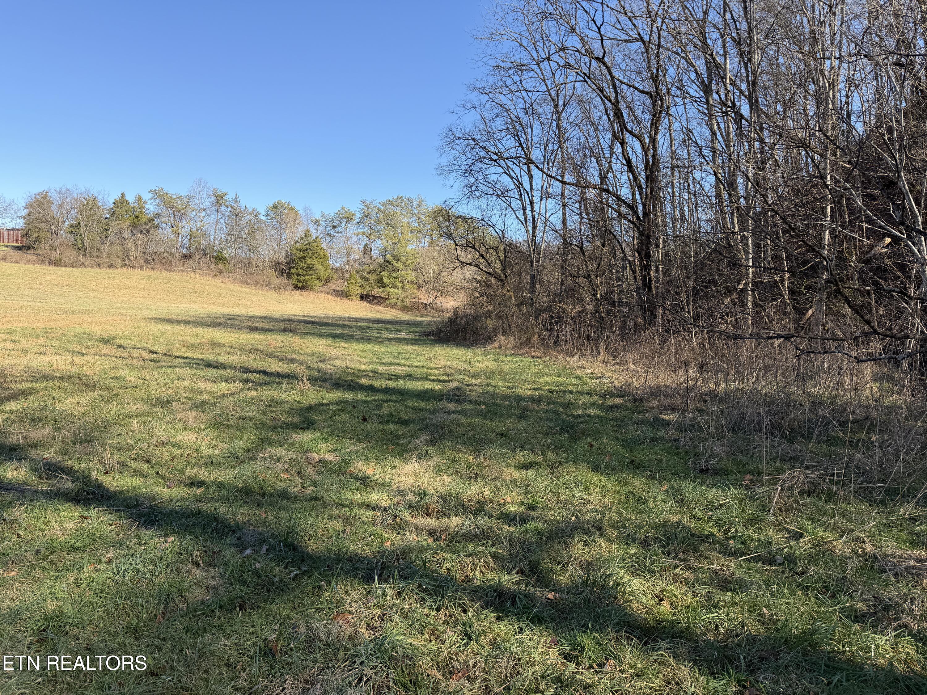 0 Dupont Road Seymour, TN 37865 - Photo 16 of 19 IMG_2181