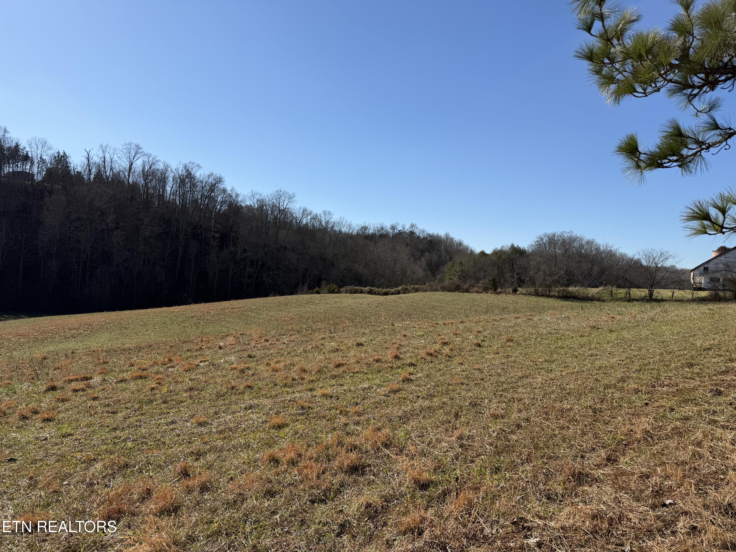 0 Dupont Road Seymour, TN 37865 - Photo 3 of 19 IMG_2167