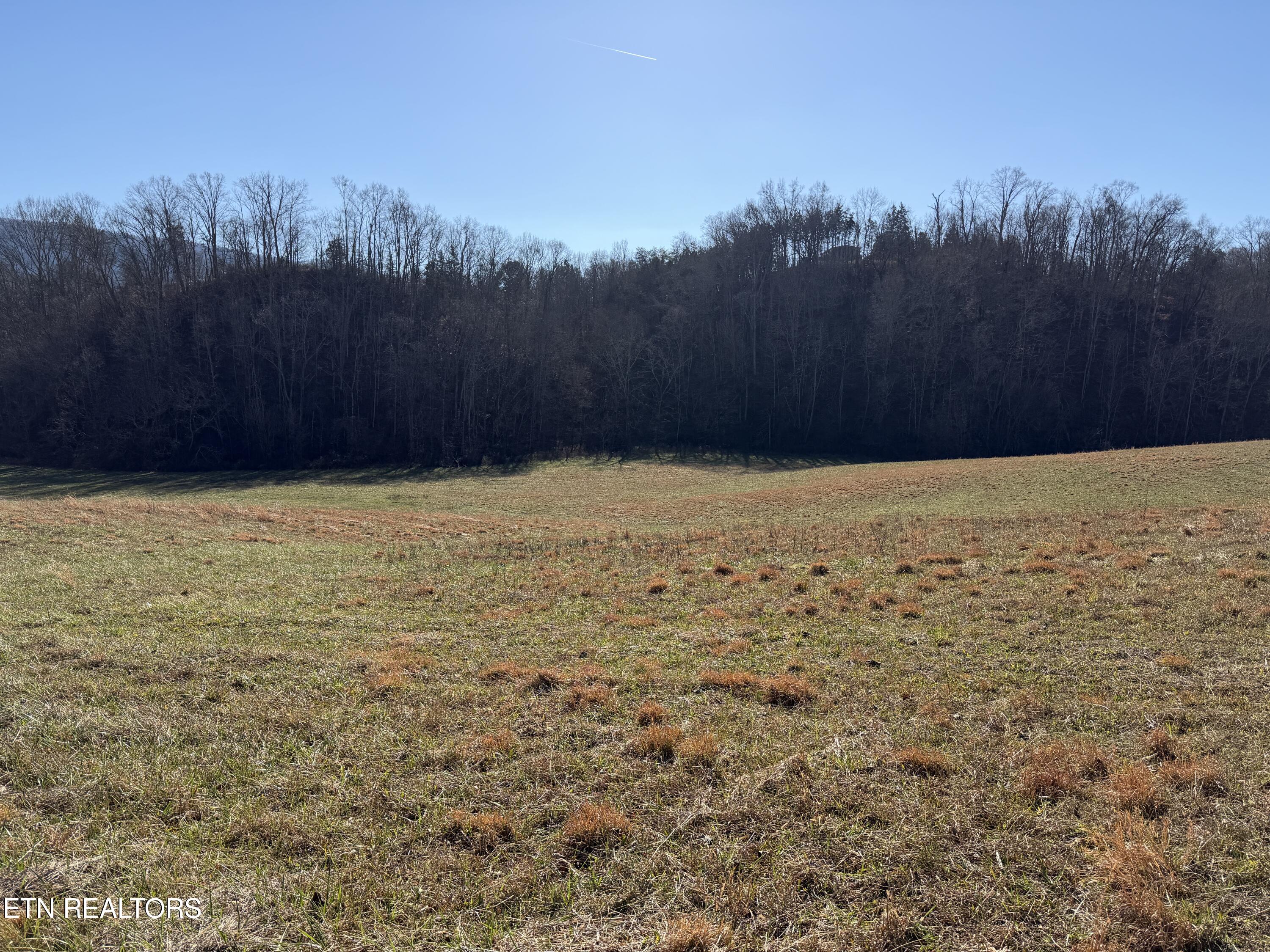 0 Dupont Road Seymour, TN 37865 - Photo 4 of 19 IMG_2168