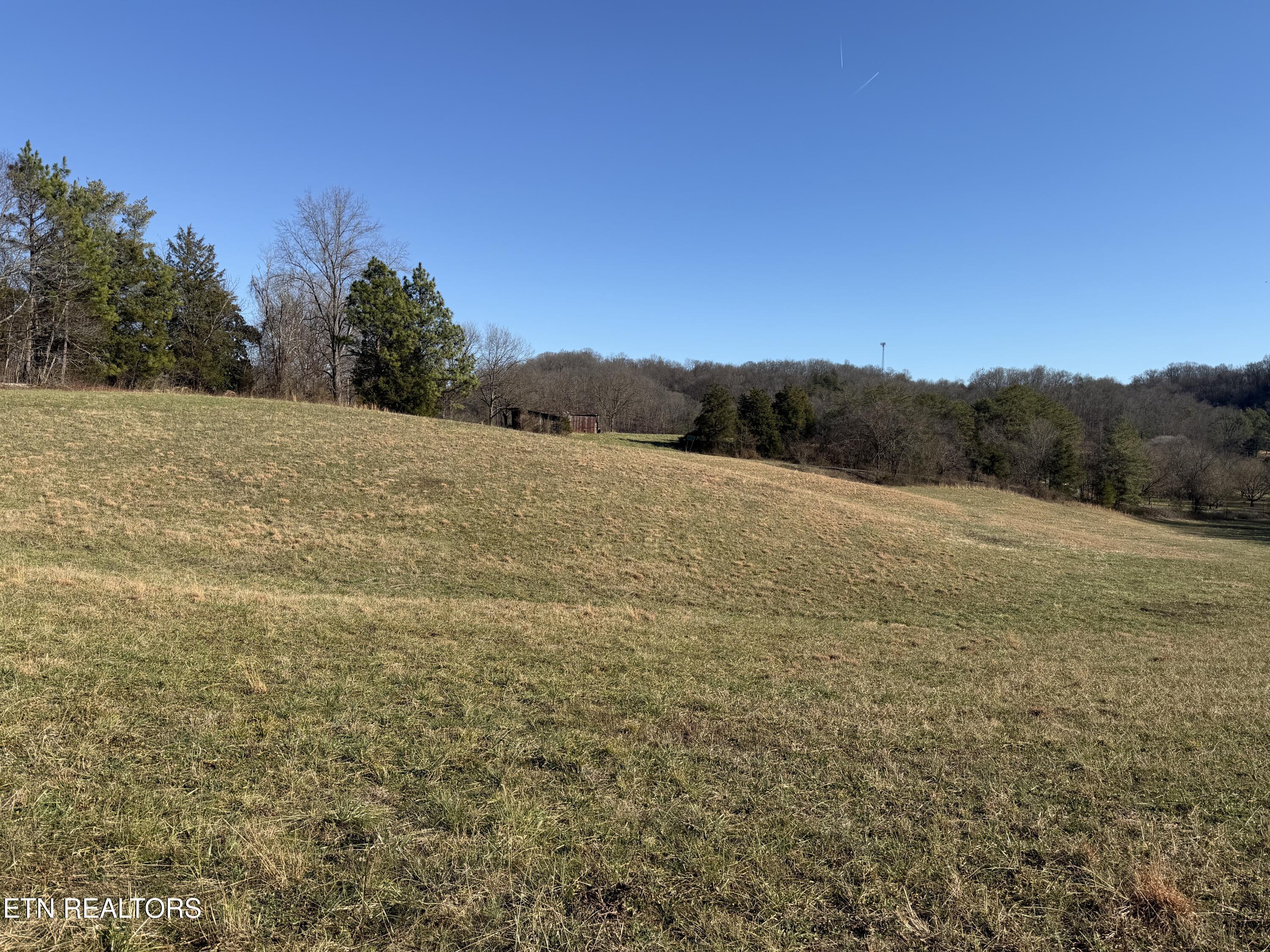 0 Dupont Road Seymour, TN 37865 - Photo 8 of 19 IMG_2173