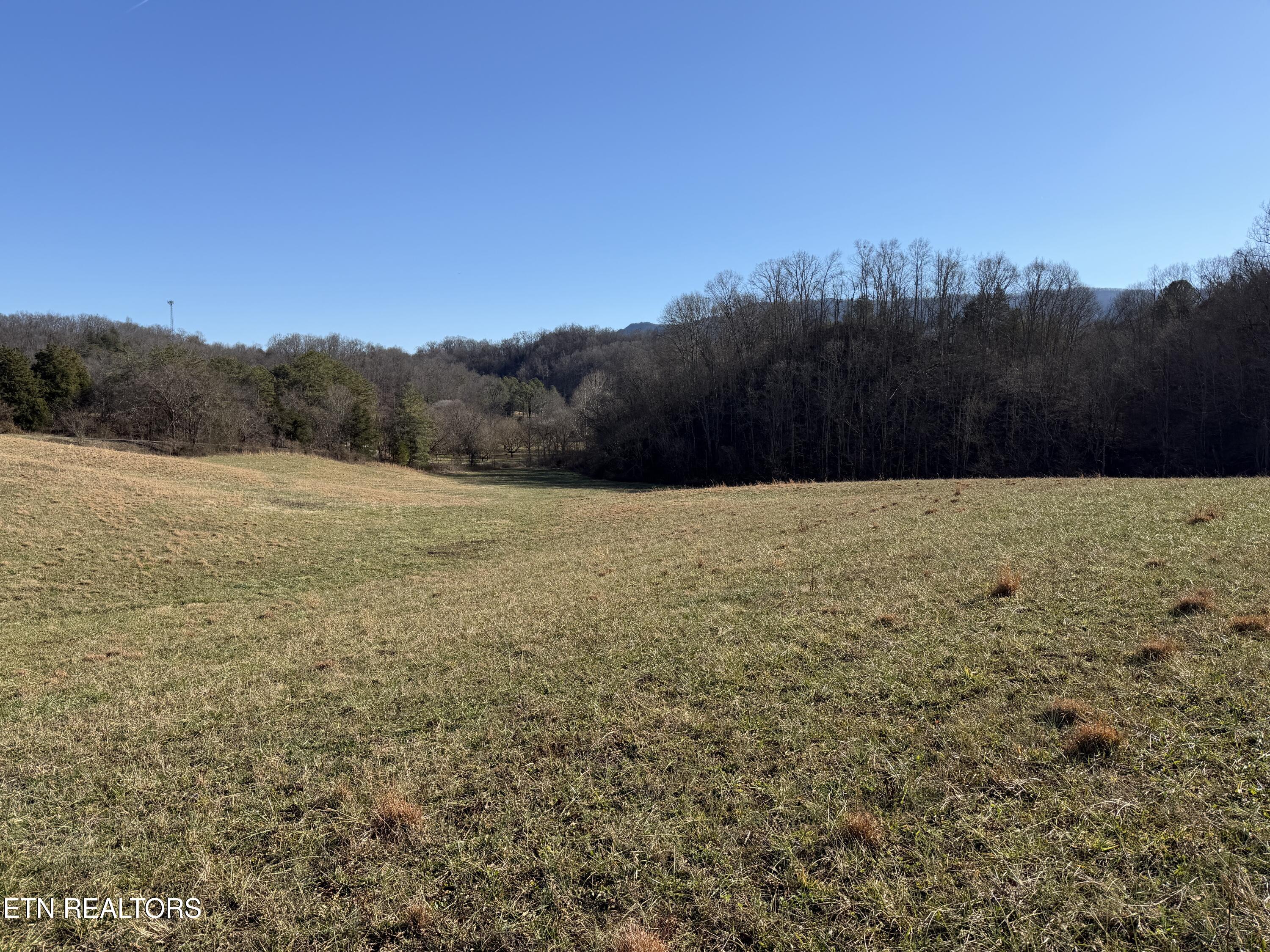0 Dupont Road Seymour, TN 37865 - Photo 9 of 19 IMG_2174