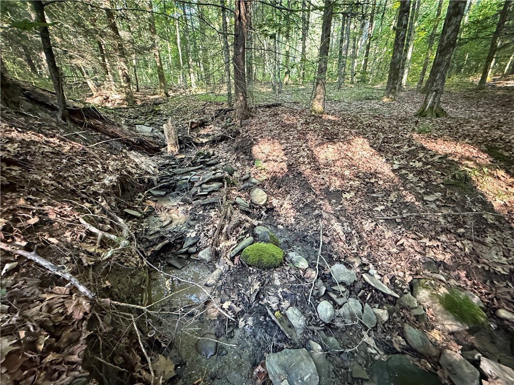 Wright Road Candor, NY 13743 - Photo 11 of 33 Gallery Image 11