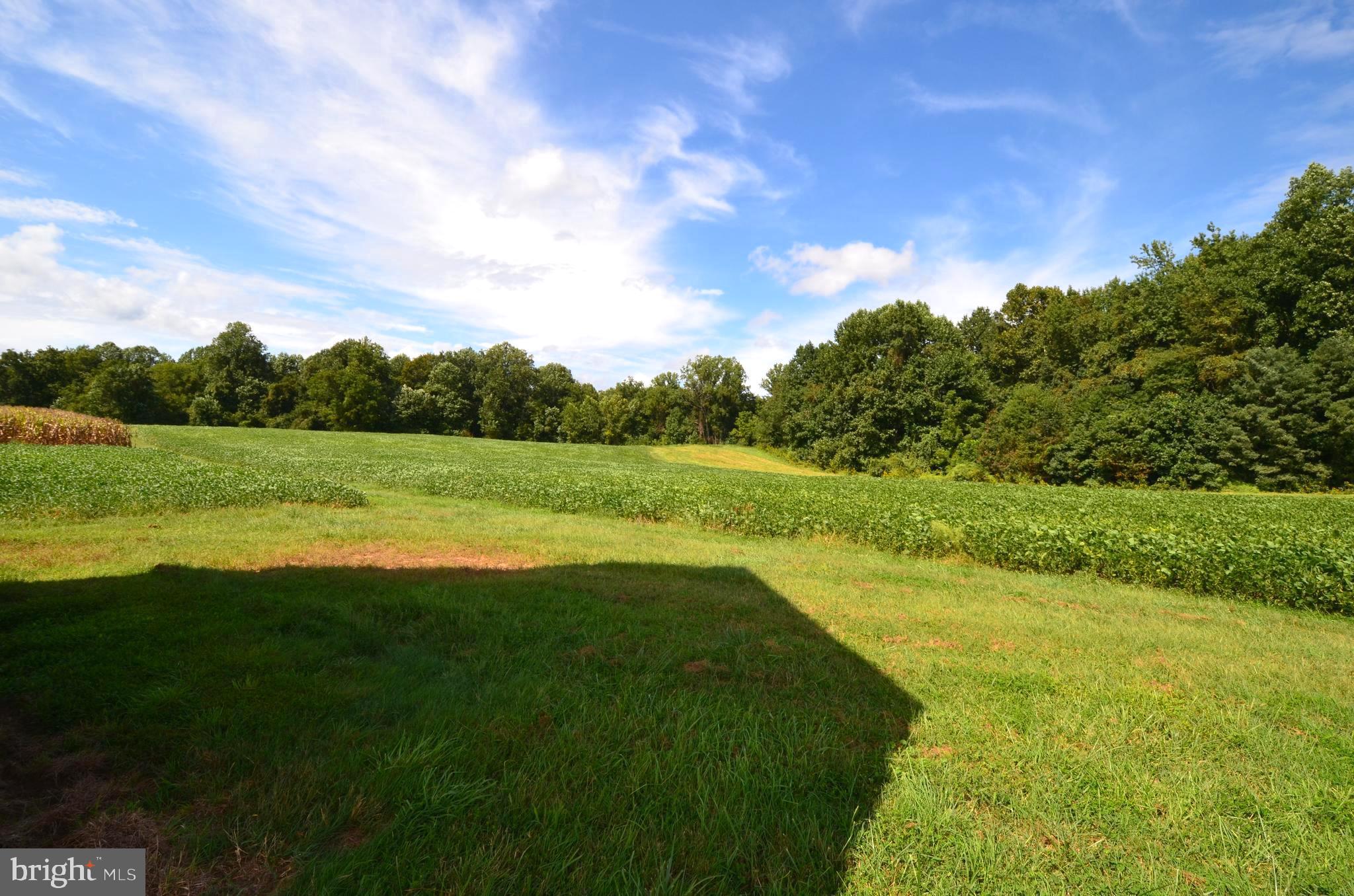7072 Prout Road Friendship, MD 20758 - Photo 27 of 68