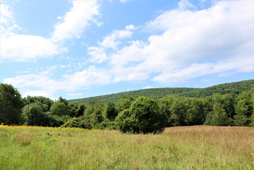 64 Kline Road Southwick, MA 01077 - Photo 28 of 30 Gallery Image 28