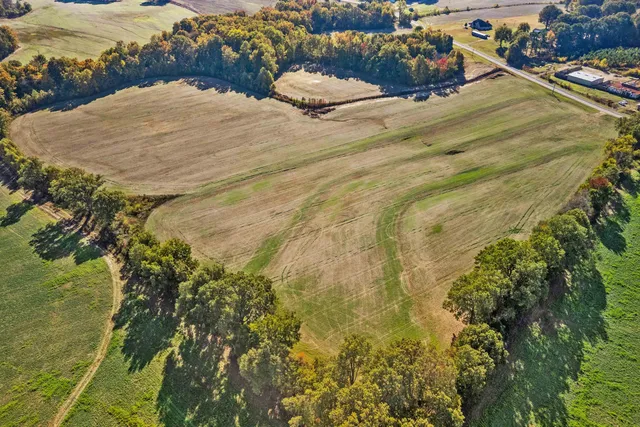 a view of outdoor space and street view