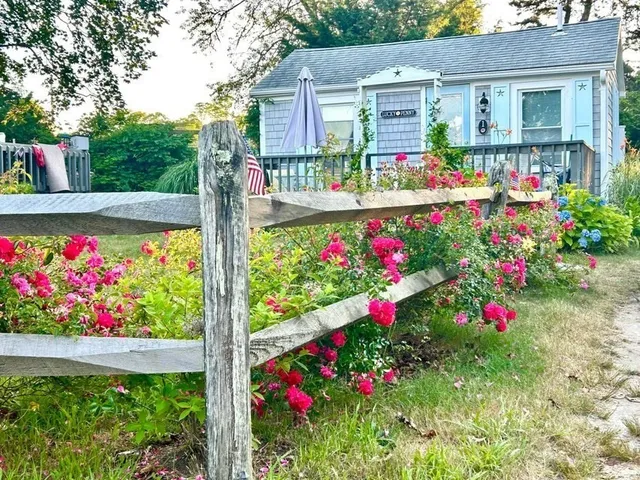 a view of a potted flower sitting in front of house