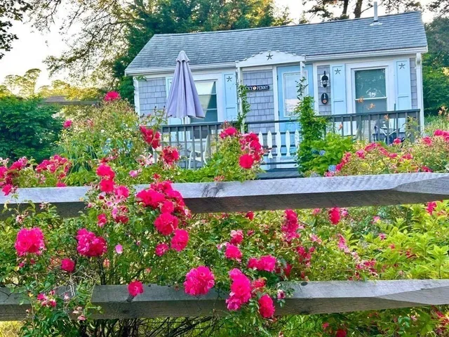a view of a pathway with a flower garden