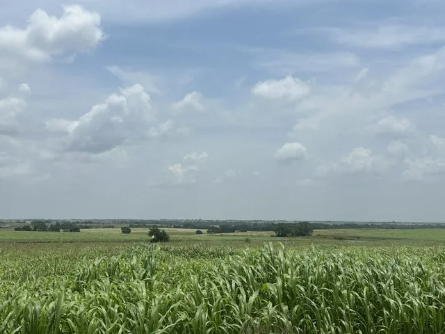 a view of an ocean and beach