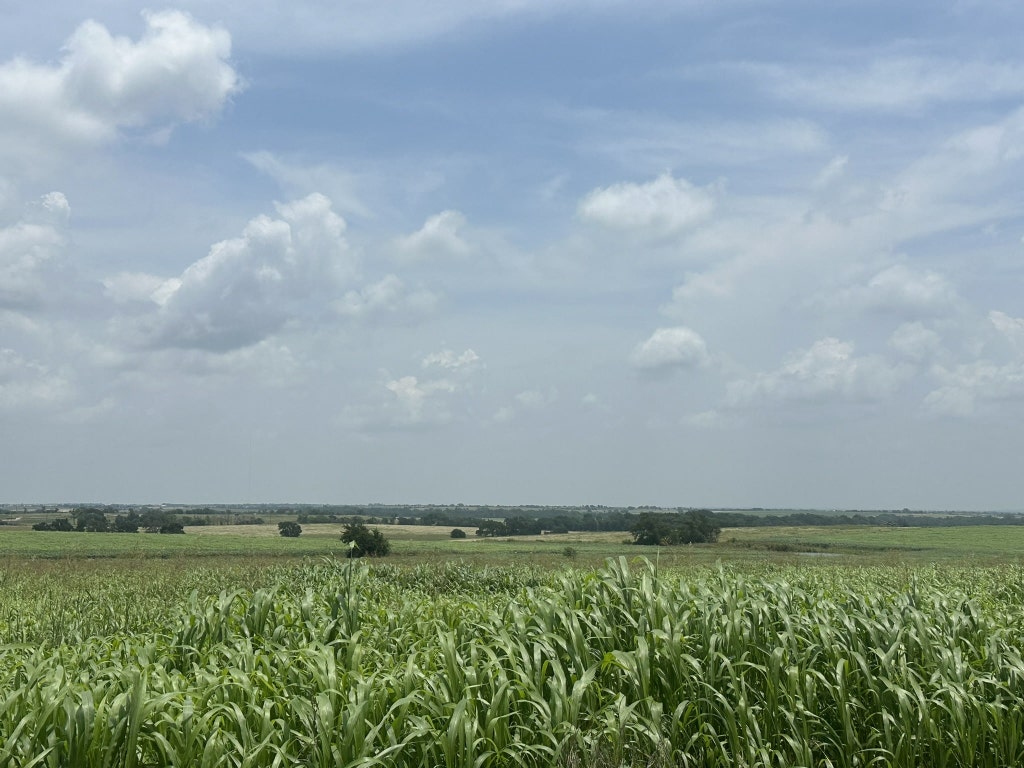 a view of an ocean and beach