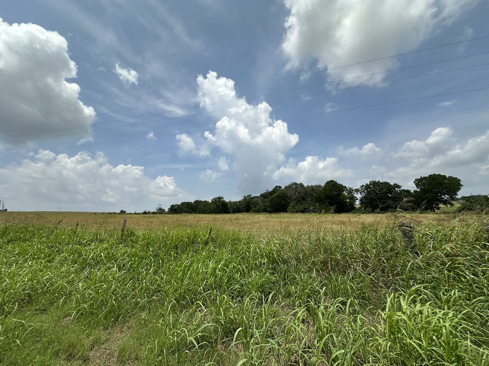 999999 East Main Street Troy, TX 76579 - Photo 12 of 20 a view of an ocean and a yard