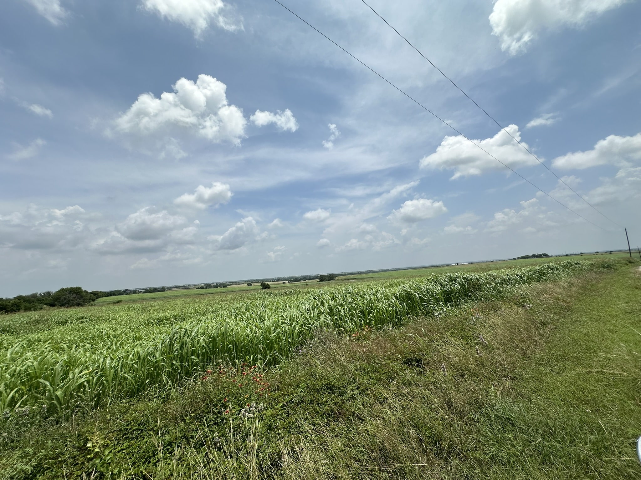 999999 East Main Street Troy, TX 76579 - Photo 18 of 20 a view of a big yard