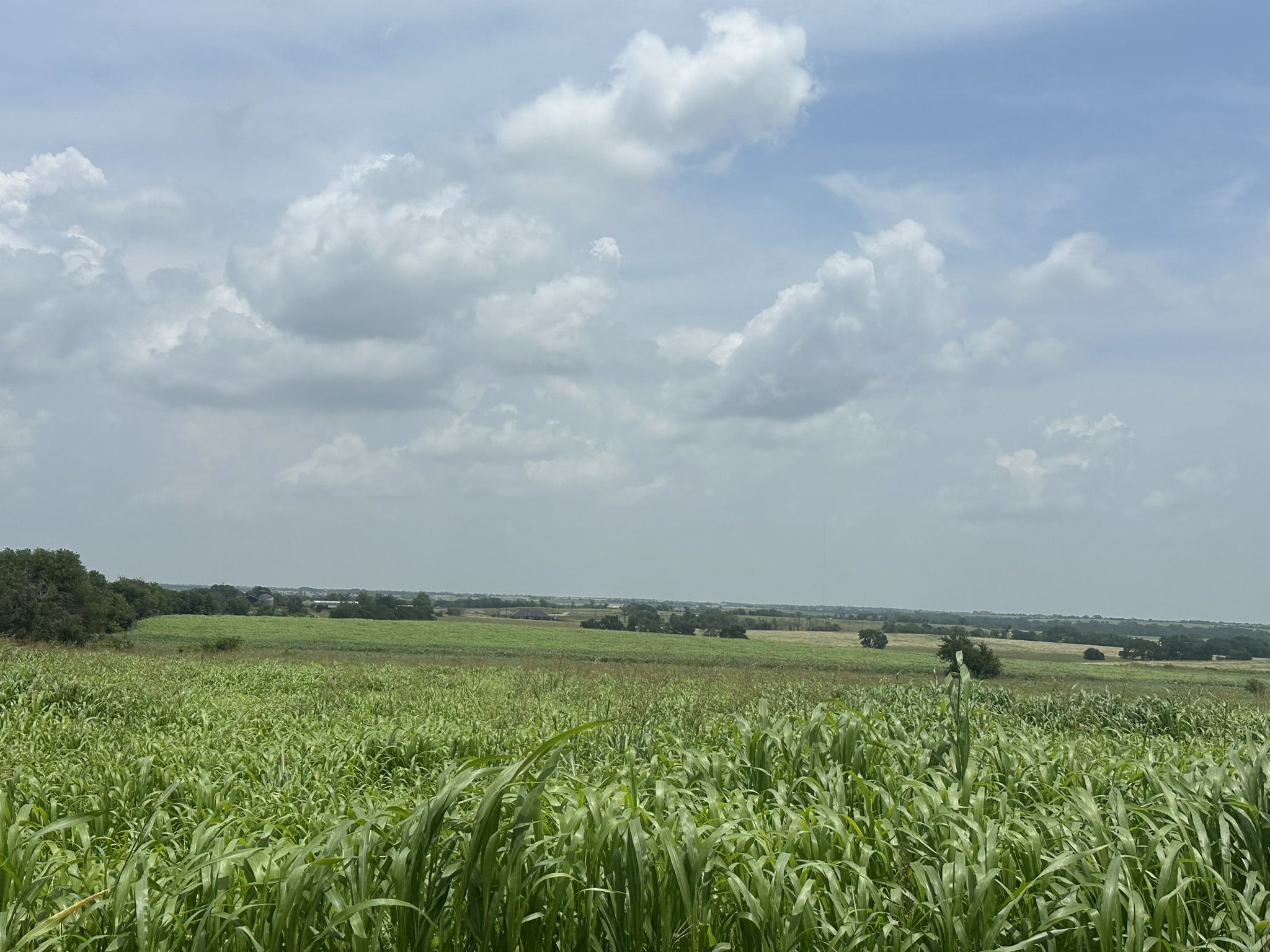 999999 East Main Street Troy, TX 76579 - Photo 20 of 20 a view of a green field with lots of green space