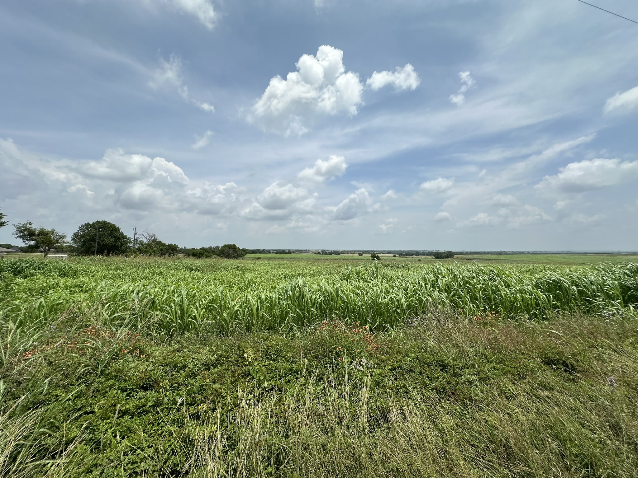 999999 East Main Street Troy, TX 76579 - Photo 2 of 20 a view of a lake and yard