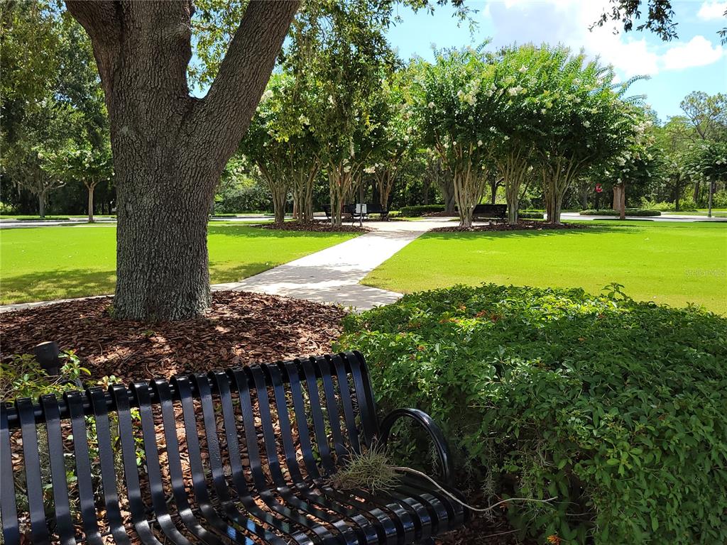 6587 Old Carriage Road Winter Garden, FL 34787 - Photo 70 of 85