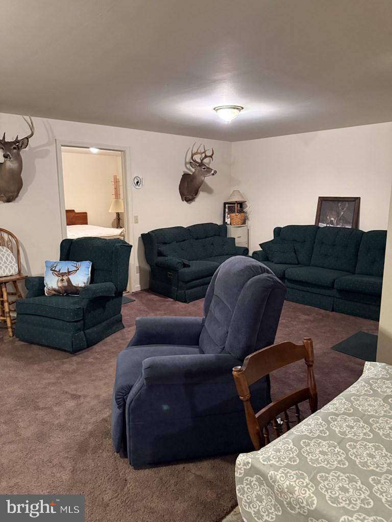 69 Sky Top Road Coudersport, PA 16915 - Photo 37 of 39